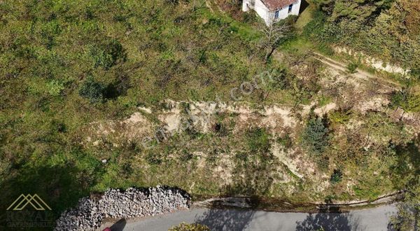 Trabzon Esenyurt'ta Satılık 2.115 M2 Arsa