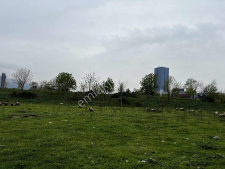 Osmangazi Küçükbalıklıda Buttimin Hemen Yanında Satılık Tarla