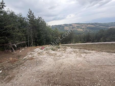 Biensden Alaçam Köy Merkezinde 348 M2 Hisseli Hobi Bahçesi