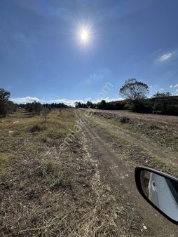 Biensten Mudanya Eğerce Deniz Manzaralı Yatırımlık Tarla