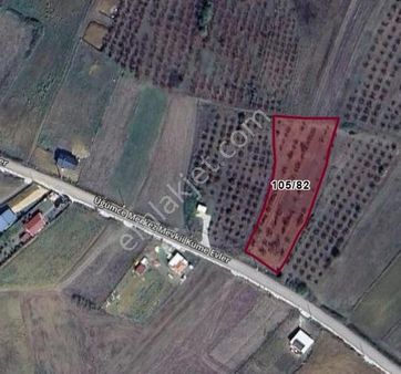 Yoldaş Emlaktan Kandırada 2350 M2 Tarla+bağ