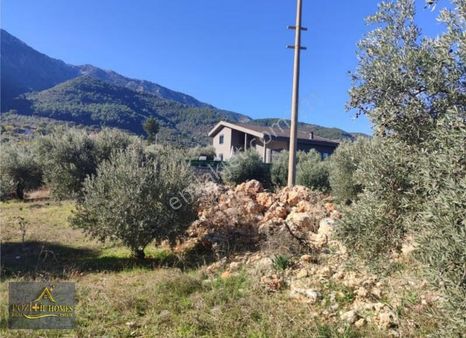 Fethiye Bozyerde Fırsat Arsa ( Zeytinlik )