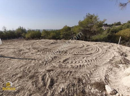 Boran Gayrimenkul'den Çukurova Pirilide Satılık Arsalar