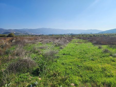 Remax Arma’dan İzmir Selçuk İsabey De Müstakil Parsel Tarla