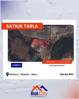 Balcity - Balıkesir Bigadiç’te 4.999 M2 Verimli-bakımlı Arsa Vasfında Cevizlik Bahçesi