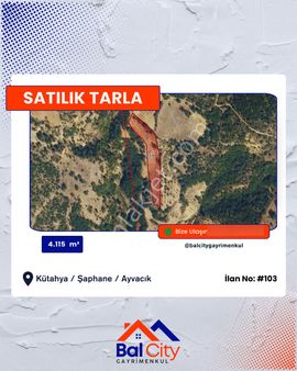 Balcity - Kütahya Şaphane İlçe Merkezde, Otoyola Yakın Tarım Ve Yaşam Fırsatı!