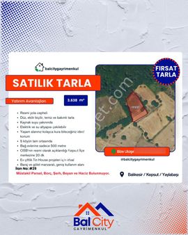 Balcity'den Balıkesir Kepsut’ta Köy Mücavir Alanına Sınır Resmi Yola Cepheli Fırsat Tarla!!