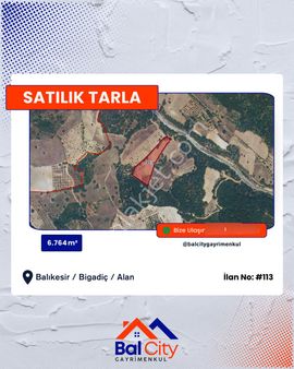 Balcity - Bigadiç’te 6.764 M2 Asfalt Yola Cephe Bakımlı Cevizlik Bahçesi