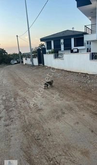 Hisar Mahallesinde Havuzlu Site İçerisinde 3+1 Villa