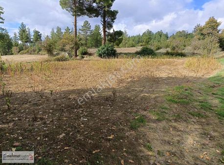 Denizli/beyaağaç Satılık Yatırımlık Tarla