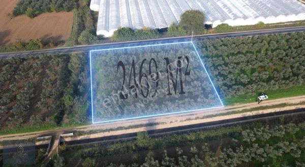 Nova Realty'den Gürle'de Asfalt Cepheli Zeytinlik