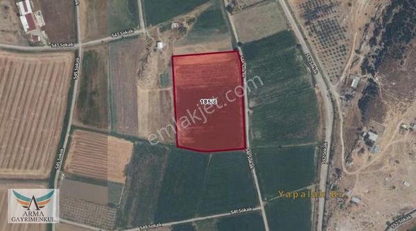 Foça Gerenköy'de Kadastral Yola Sahip Satılık Tarla