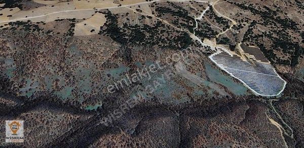 Söğüt Kepen Köyünde Fırsat Tarla