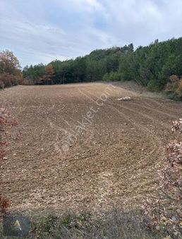 Bilecik Gölpazarı Gökçeözü Köyünde Muhteşem Konumda