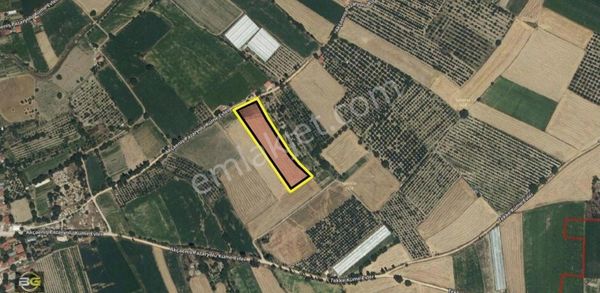 Baylan's Gayrimenkulden Akçaeniş Mahallesinde Müstakil Tapu 6.200 M2 Bahçe