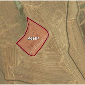 Haymana Culuk'ta Tek Ve Kök Tapu Fırsat Tarla!