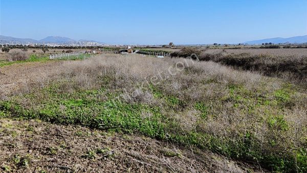 Bergama Fatih Mahallesinde 3802 M2 Satılık Tarla