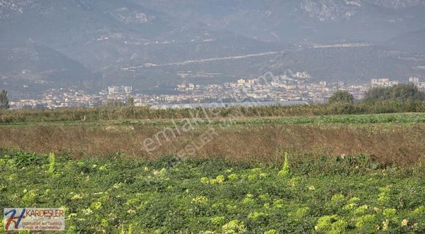 Sakarya Pamukova Çardak Mah. Yatırımlık Verimli Arazi Mah.400 Mt