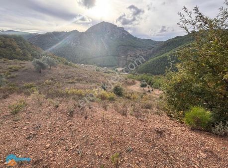 Orman Manzaralı 18.000 M2 Arazi..