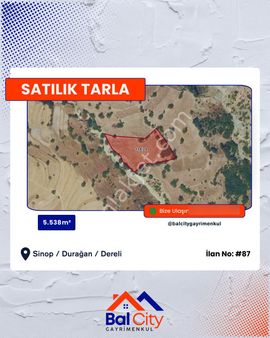 Balcity Gayrimenkul - Sinop Durağan’da Muhteşem Fırsat