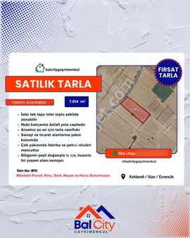 Balcity'den Kırklareli Vize’de Asfalt Yola Cephe İmar Sınırında Fırsat Tarla!