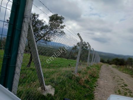 Olcaysu'dan Kadastro Yoluna Cepheli 3797m2 Satılık Zeytinlik!!