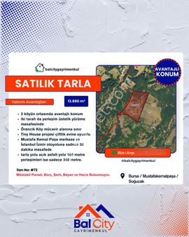 Balcity'den Bursa M.kemalpaşa’da Köye Yakın, Etrafı Mısır Tarlalarıve Meyve Bahçeleri Olan Tarlamız