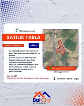 Balcity'den Çanakkale Yenice’de Kaz Dağları Eteğinde, Oto Yola Cepheli 9 Dönüm Bakımlı Tarla