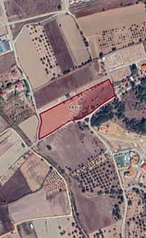 Urla Zeytinler'de Oto Yola Yakın Harika Konumda Tarla