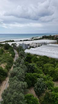 Alanya Yeşilöz – 2.5 Kat İmarlı Satılık Arsa