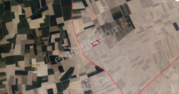 Aksaray Kutlu Köy'de Satılık 39 Dekar Tarla