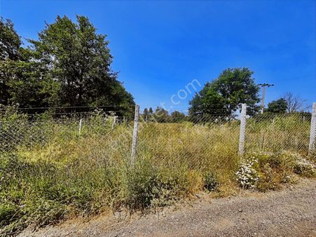 Rw Nova'dan Kızderbent'te Asfalt Yola Cephe 1.300 M2 Arazi