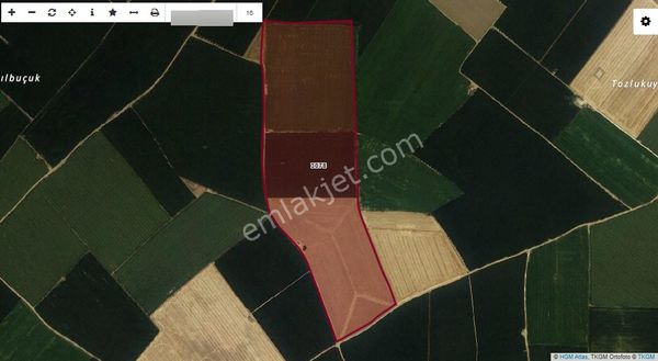 Talha Tozduman'dan Cihanbeyli Pınarbaşında Yola Yakın Tarlalar