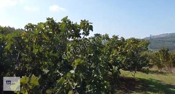 Osmangazi Ovaakça Sanayi Yakını Takasa Açık Satılık Arazi