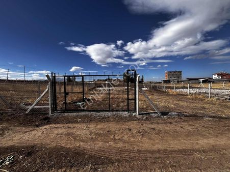 Talas Kamber Hobi Bahçesi 460 M2 Tel Örgüsü Çekili Kapısı Takılı