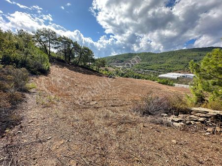 Alanya İmamlı Mahallesinde Yüksek Yatırım Potansiyelli Arazi!
