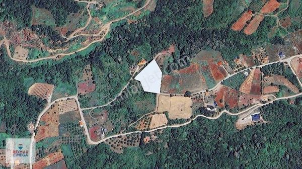 Ümmiye 'de 7983m2 Yatırımlık Satılık Arsa