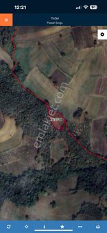 Emine Altuntaş’tan Kandıra Hıdırlar Köyünde Kelepir Fiyatına Acil Satılık Tarla