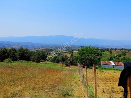 İzmit Zeytinburnu'nda Doğalgazlı,manzaralı, 100 M² İmarlı Tarla