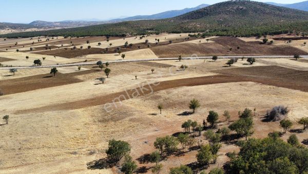 Asfalt Kenarı 2300 Metrekare Arazi İster Bahçe İster Yatırım