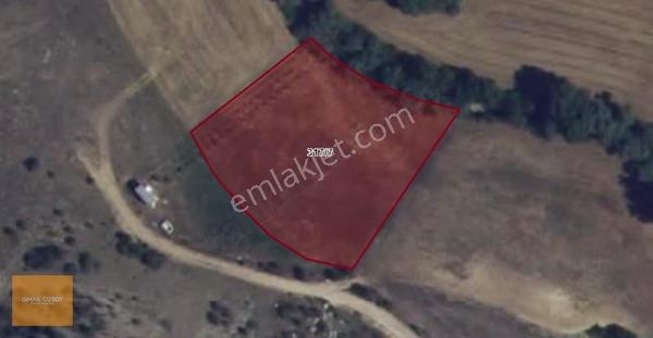 Müstakil Tapulu 3985 M2 Dereye Cephe Satılık Fırsat Arazi !