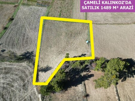 🦋lobby Fortis'ten Satılık Çameli Kalınkoz'da 1489 M² Arazi🦋