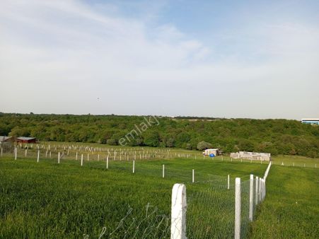 Ege Gayrimenkul'den Büyükçavuşlu'da Satılık Tarla