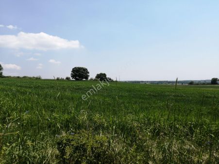 Ege Gayrimenkul'den Büyükçavuşlu'da Satılık Tarla