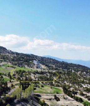 Balcity Gayrımenkul'den Çameli Çamlıbel'de 4.621 M2 Fırsat Arazi!