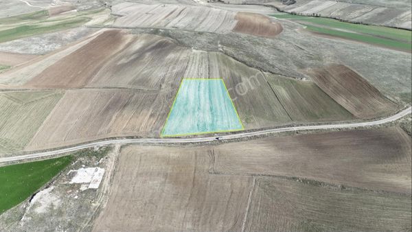 Afyon İhsaniye Yaylabağında 4100 M² Müstakil Tapu Tarla