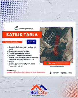 Balcity - Balıkesir Üniversiteye Ve Köye Komşu Yeşilliğin İçinde Oksijen Deposu Yaşam Alanı