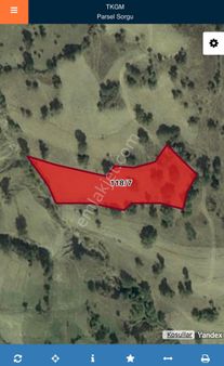 Balcity - Sinop Durağan'da Fırsat Yatırım