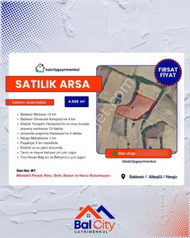 Balcity'den Balıkesir Altıeylül’de Kaplıca Bölgesi Nergiz’de Köye Yakın Cevizlik Bahçesi!