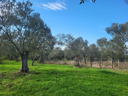 Doğa İle İç İçe 300 M2 Hobby Bahçesi